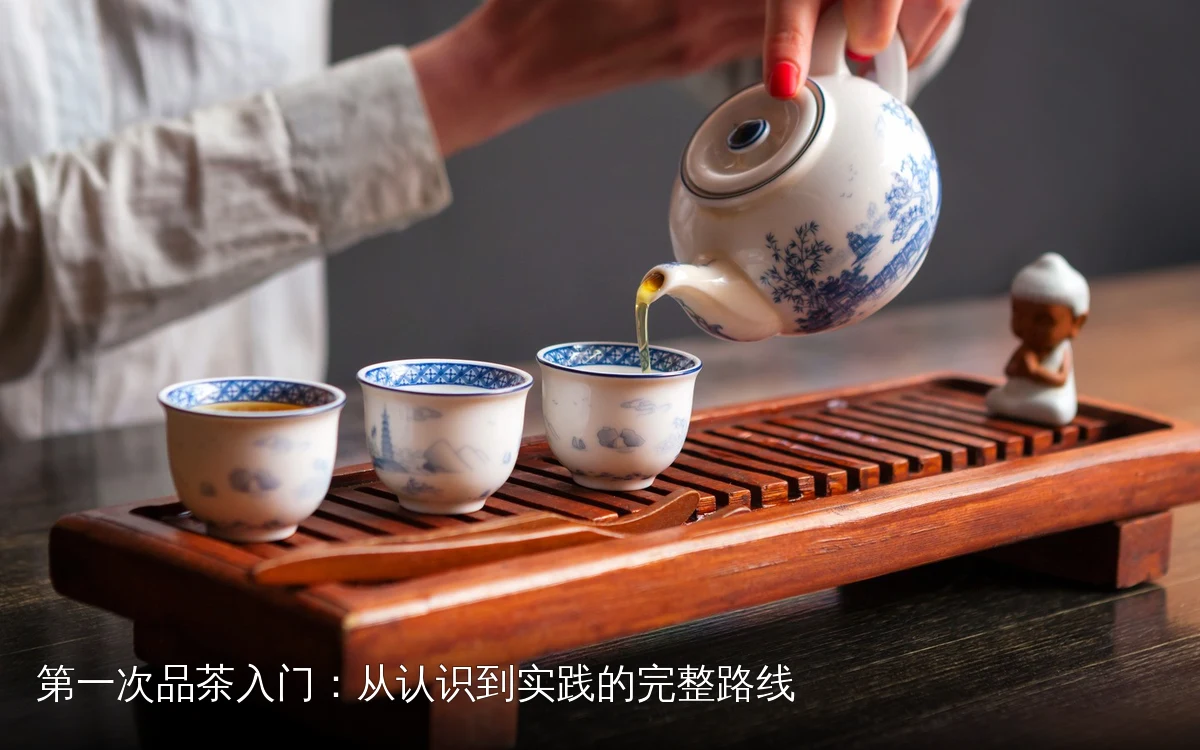 第一次品茶入门：从认识到实践的完整路线